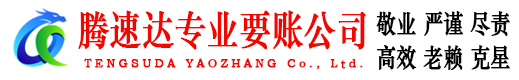 石台腾速达清债公司